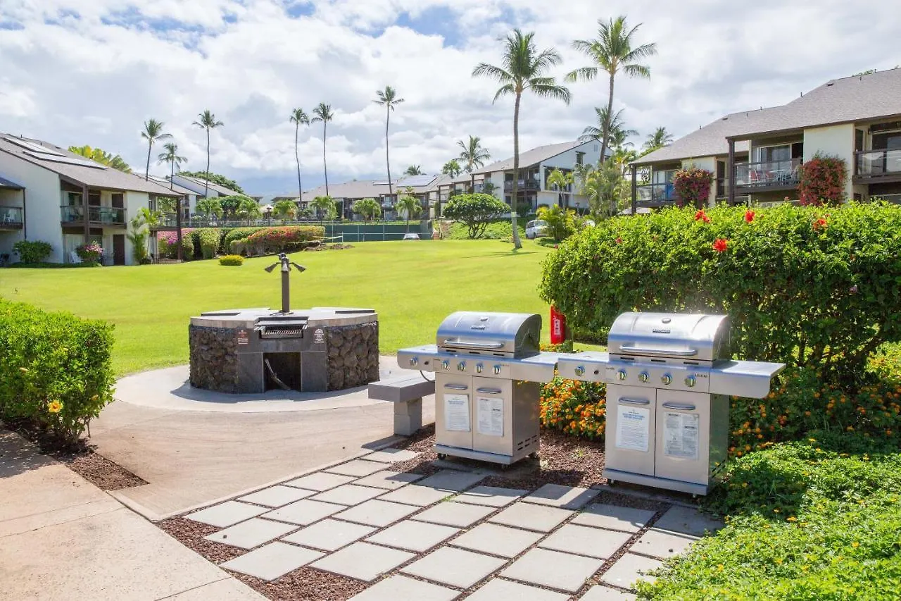 Hale Kamaole 241 Villa Wailea  United States